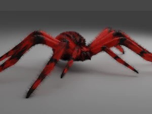 SPIDER LOW MODEL 3D Model