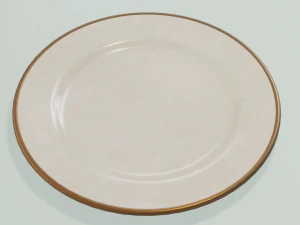 Round Dinner Plate 3D Print Model