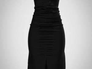 Shearing women dress 3D Model