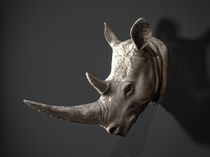 Rhinostatue01 3D मॉडल