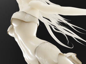 Sculpture Female -Born Within- Modèle 3D