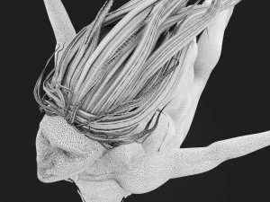 Sculpture Female -Born Within- 3D Model