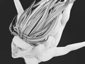 Sculpture Female -Born Within- 3D Model