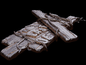 The Last Of Us 3D Model