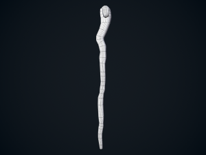 Fantasy staff 3D 模型