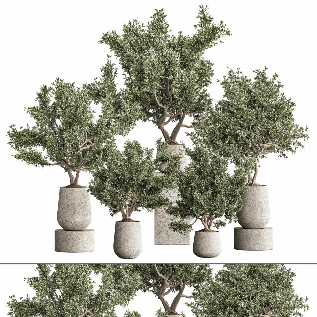 Plantset01 3D Модель .c4d .max .obj .3ds .fbx .stl .blend 