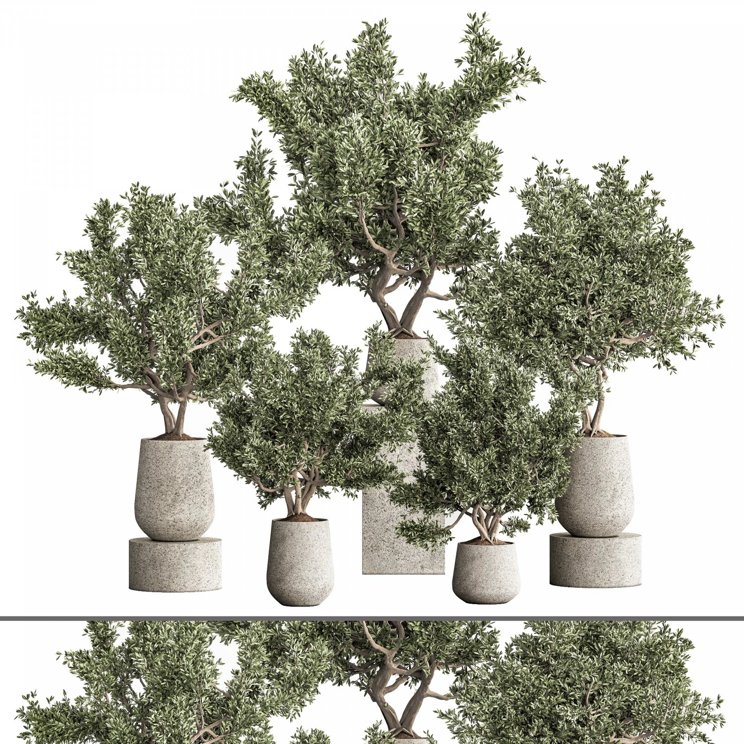 Plantset01 3D Model .c4d .max .obj .3ds .fbx .stl .blend