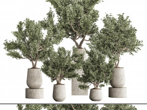 Plantset01 3D Model