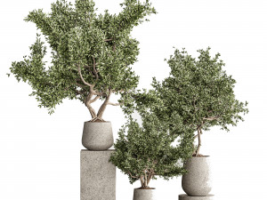 Plantset01 3D Модель