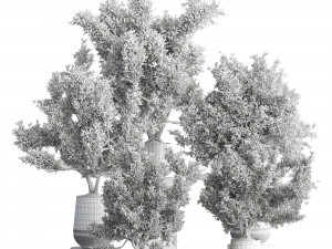Plantset01 3D Модель