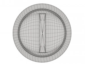 Gold Coin Modello 3D