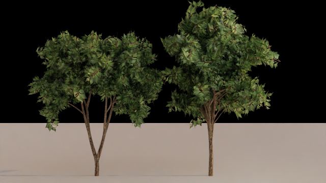 Trees Model 3D .c4d .max .obj .3ds .fbx .stl .blend 