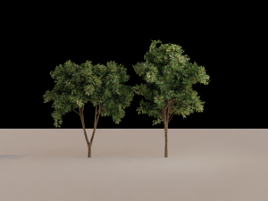 Trees Model 3D