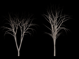 Trees Model 3D
