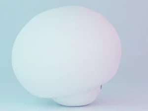 Boo Mushroom Mario 3D Model