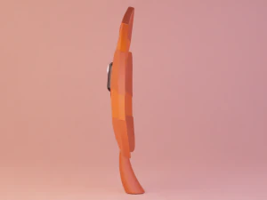 Super Leaf Mario 3D Model