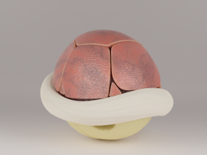 Shells and Blue shell spiny shell 3D Model