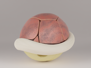 Shells and Blue shell spiny shell 3D Model