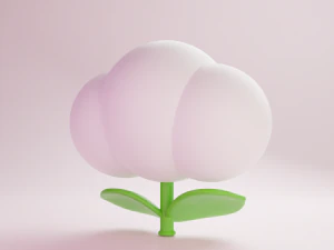 Cloud flower Mario 3D Model
