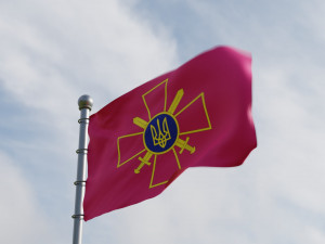 Ukrainian flags 3D Model