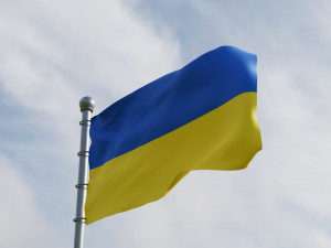 Ukrainian flags 3D Model