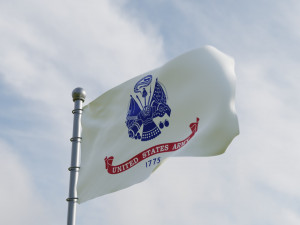 Animated US Flags 3Dモデル