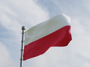 Animated Poland Flags Modello 3D