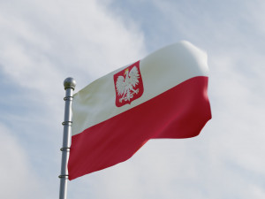 Animated Poland Flags Modello 3D