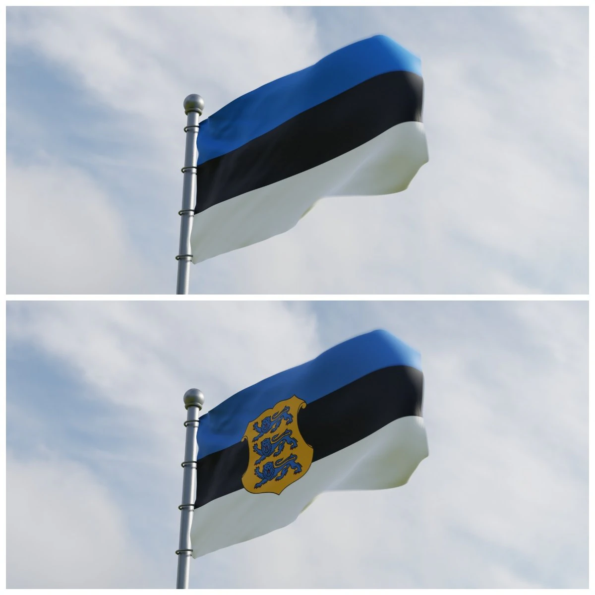 Animated Estonia Flags 3D Model .c4d .max .obj .3ds .fbx .stl .blend 