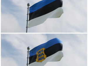 Animated Estonia Flags 3Dモデル
