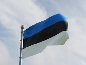 Animated Estonia Flags 3D Модель