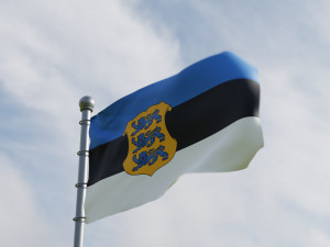 Animated Estonia Flags 3D Модель