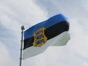 Animated Estonia Flags 3D Model