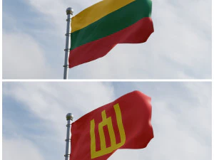 Banderas animadas de Lituania Modelo 3D