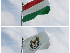 Animated Hungary Flags 3D Model