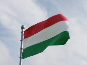 Animated Hungary Flags Model 3D