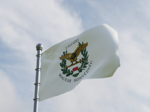Animated Hungary Flags Model 3D