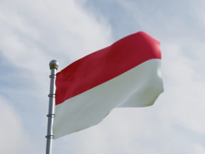 Bandeiras animadas de M&ocirc;naco Modelo 3D