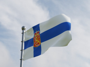 Animated Finland Flags 3D Model