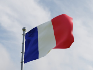Animated France Flags 3D 모델