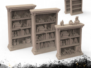 Bookshelves 3D Print Model