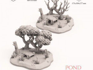 Pond 3D Print Model