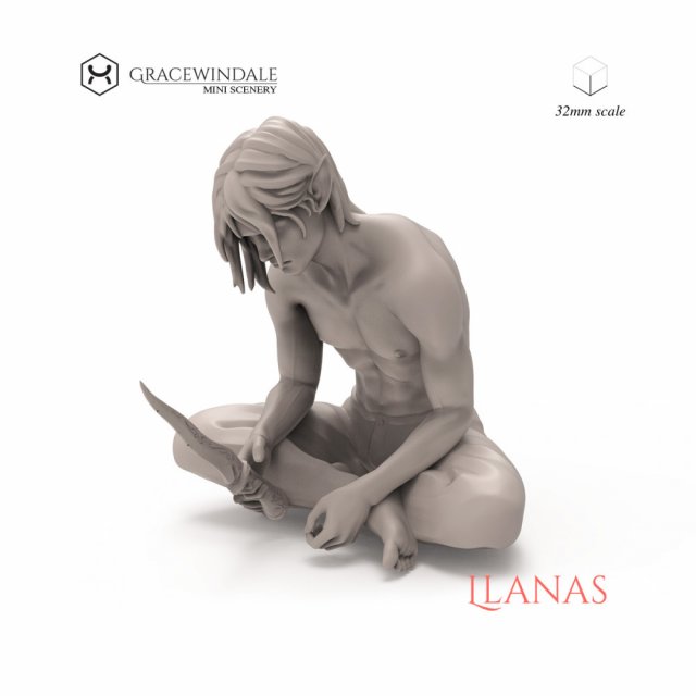 Llanas Modelo de Impressão 3D .c4d .max .obj .3ds .fbx .stl .blend 
