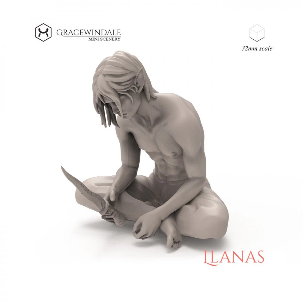 Llanas 3D Print Model .c4d .max .obj .3ds .fbx .stl .blend