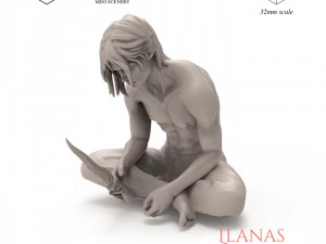 Llanas 3D Print Model