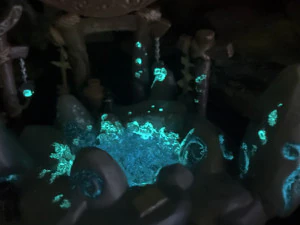 穆恩韦尔 3D 打印模型