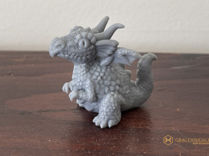 Little Dragon Modelo de Impressão 3D