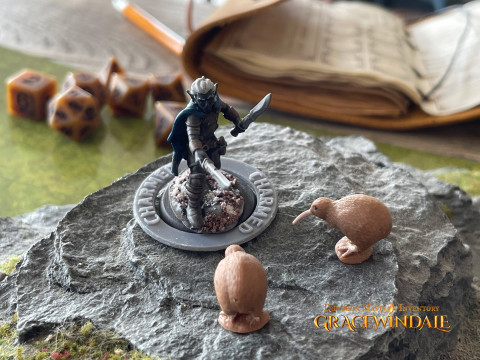 DM Inventory - Condition Markers 3D 프린트 모델