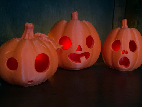 The Pumkins 3D 打印模型