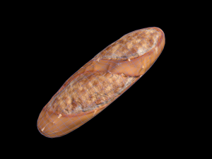 Bread 3D Model